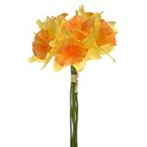 Daffodil Bundle Yellow Orange Daffodil Bundle Yellow Orange
