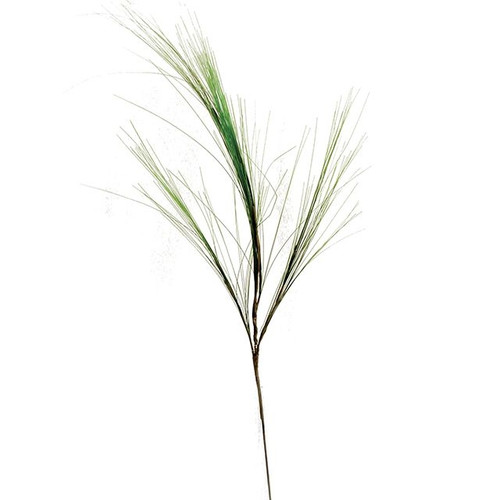 Needle Grass Green