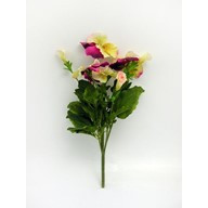 Pansy Lge Bush Yel/White