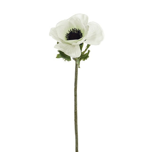 Anemone Stem White