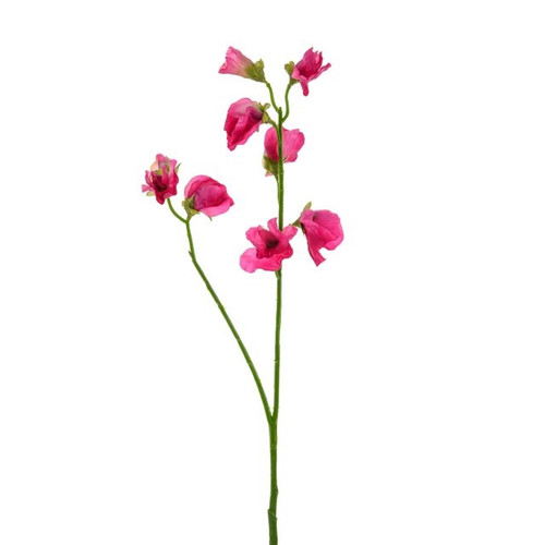 Sweetpea Stem Dark Pink