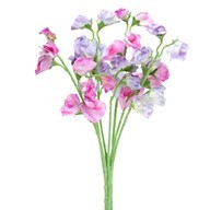 Sweetpea Bunch Lilac