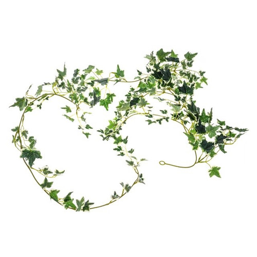 Ivy Variegated Med Leaf Garland 183Cm