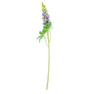 Lupin Lilac 81Cm