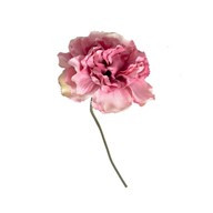 Carnation Pick Pink 15Cm