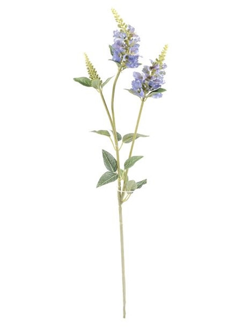 Physostegia Spray Blue 63Cm