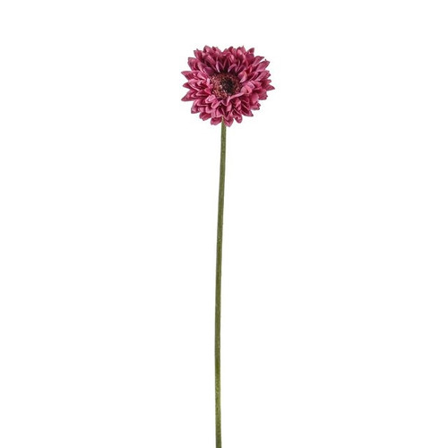 Gerbera Mini Pink 56Cm