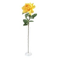 Rose Pippa Open Yellow 68Cm