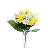 Flora Daff/Daisy Bush Wht/Yel