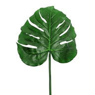 Raindrop Monstera Leaf