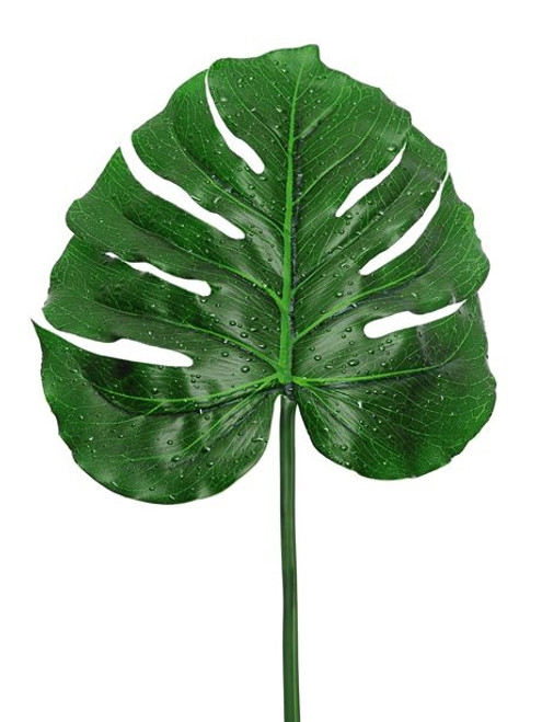 Raindrop Monstera Leaf