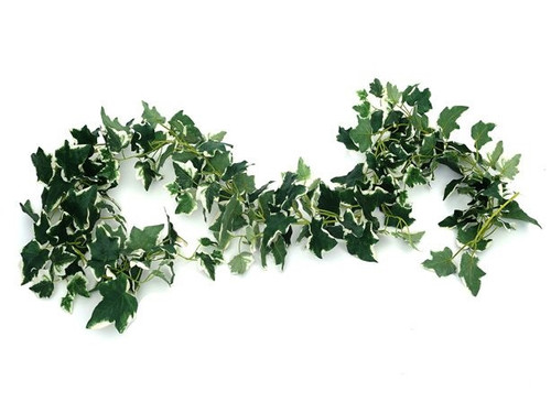 Galaxy Ivy Garland Variegated