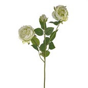 ENGLISH ROSE SPRAY LIGHT GREEN 64CM