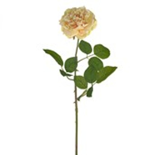 QUEEN ROSE SINGLE STEM YELLOW 70CM QUEEN ROSE SINGLE STEM YELLOW 70CM