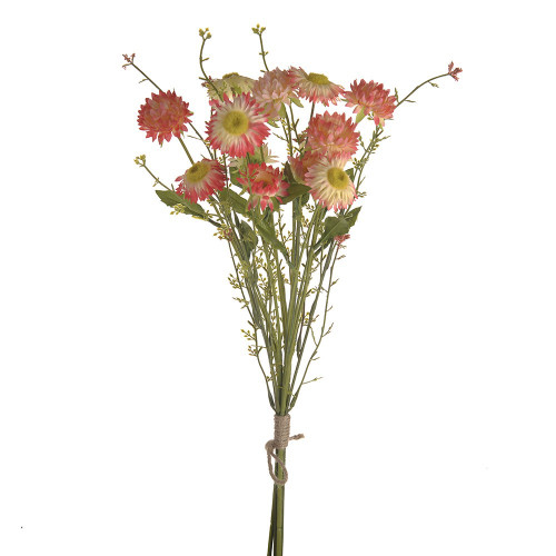 STRAWFLOWER BUNDLE PEACH 50CM