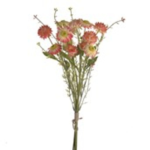 STRAWFLOWER BUNDLE PEACH 50CM STRAWFLOWER BUNDLE PEACH 50CM