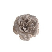 Rose With Clip Champagne 15Cm