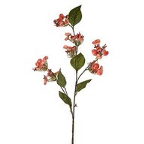 Alice Mini Hydrangea Spray Apricot