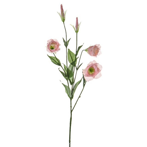 Lisianthus Spray X5 Pink