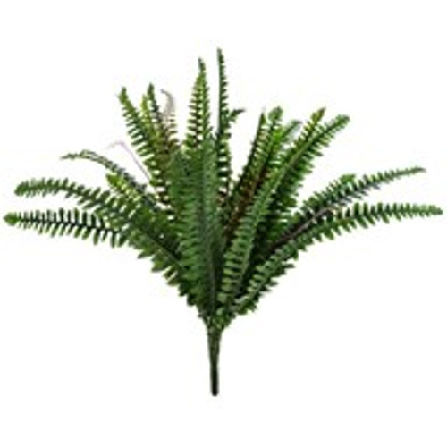 Boston Fern 36 Leaves 51 Cm