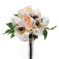 Bundle Peony Pale Pink