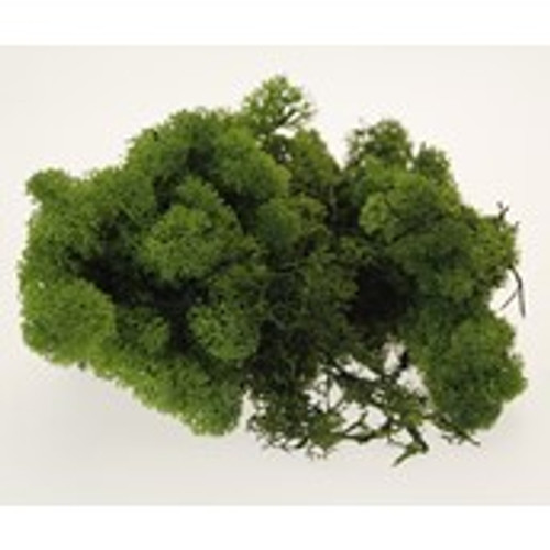 500g Olive Green Reindeer Moss