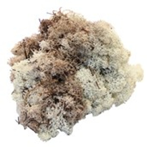 500g Natural Reindeer Moss