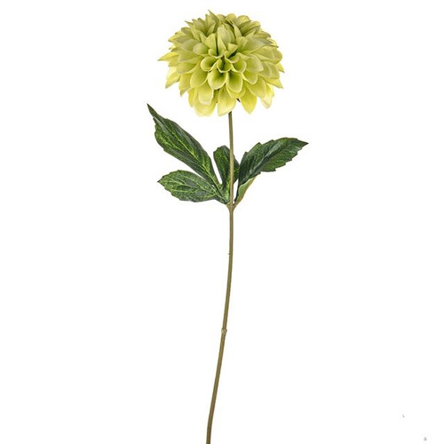 Fiesta Dahlia Green 46Cm