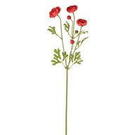 Fiesta Ranunculus Pink 66Cm