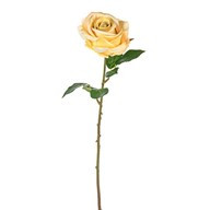 Fiesta Rose Yellow 47Cm