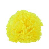 Essential Carnation Pick Yellow-Box of 144