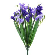 Freesia Bush X12 Lav/Purple