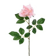 Premium Rose Large Soft Pink