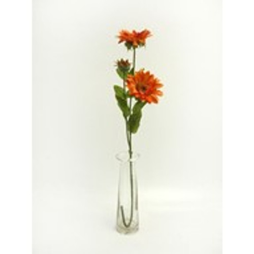 Sunflower Susan Spray Orange