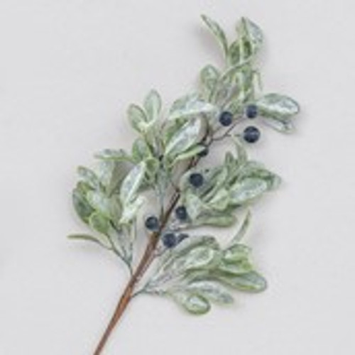 Blue Berry/Frost Leaf - 62cm 