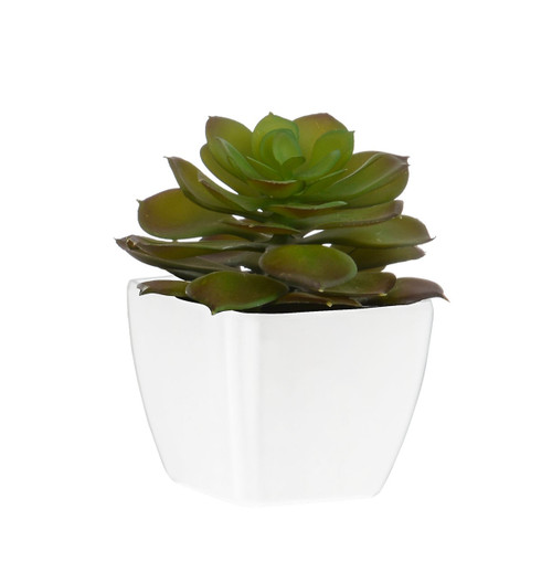 11cm Succulent White Pot
