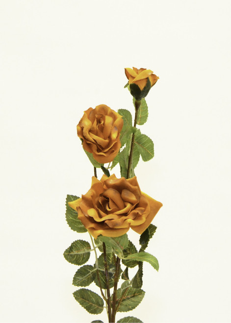 Micro Peach Rose x3 Orange