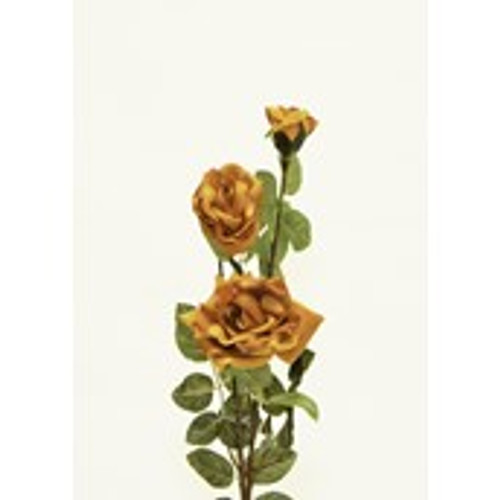 Micro Peach Rose x3 Orange