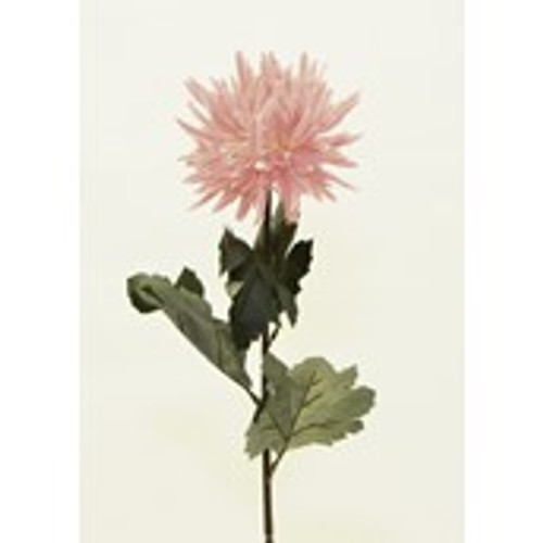 Mum Spray Pink