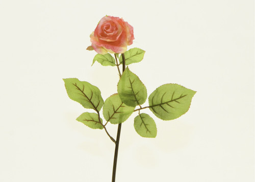 26" Rosebud Pink