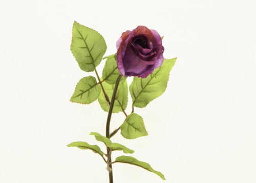 26" Rosebud Fuchsia