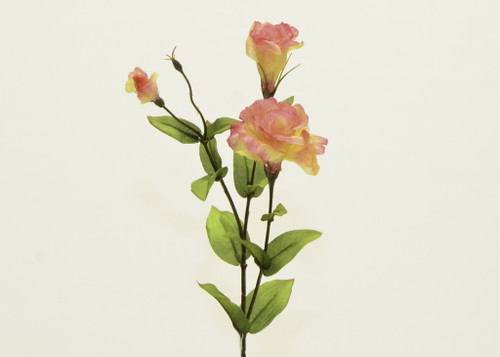 33" Lisianthus Pink