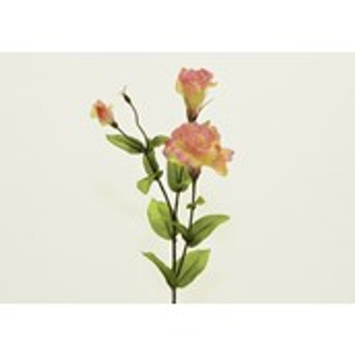 33" Lisianthus Pink