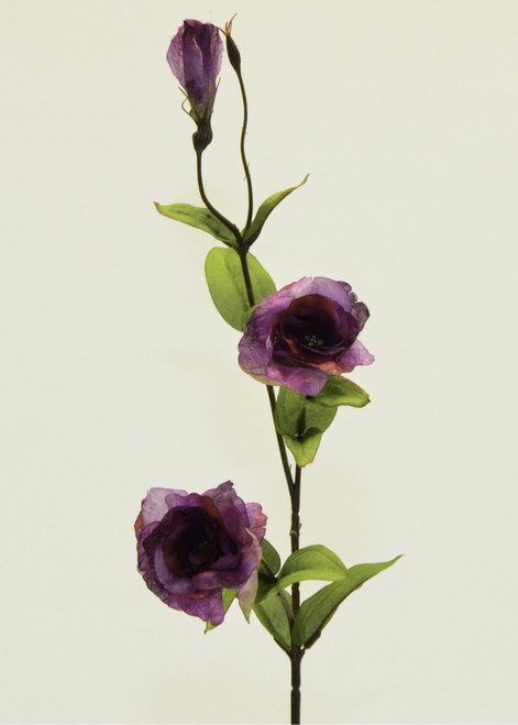 33" Lisianthus Fuchsia