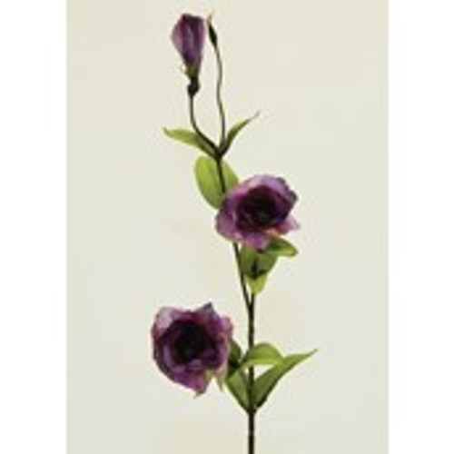 33" Lisianthus Fuchsia