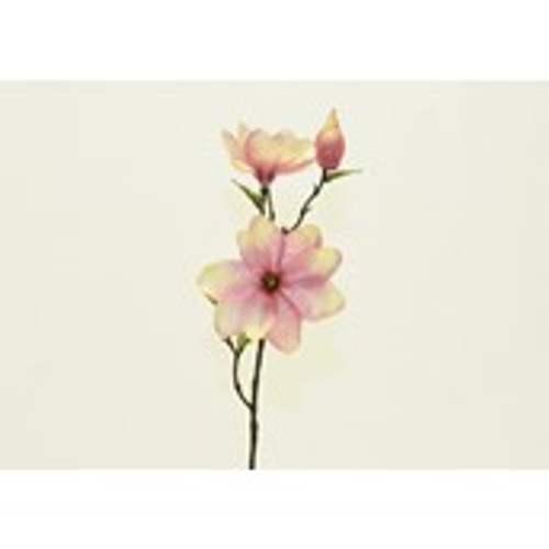 32" Magnolia Pink