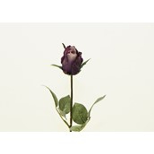 28"Purple Brilliant Rose Bud