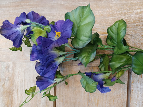 31" Morning Glory Spray Purple