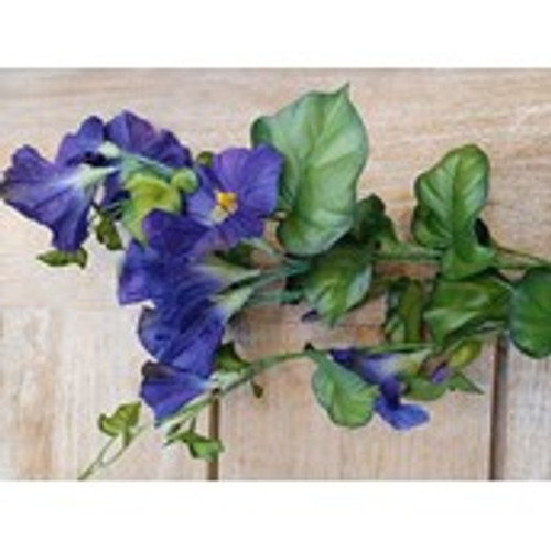 31" Morning Glory Spray Purple