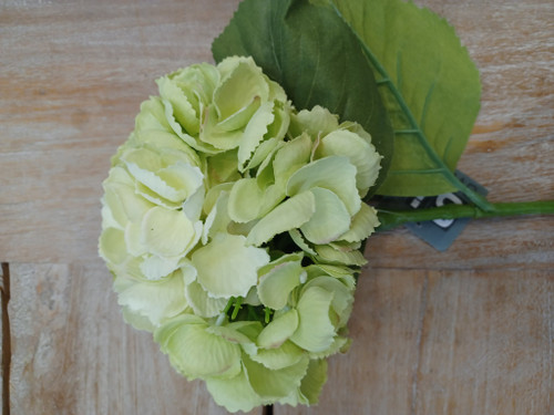 29" Hydrangea Stem Green